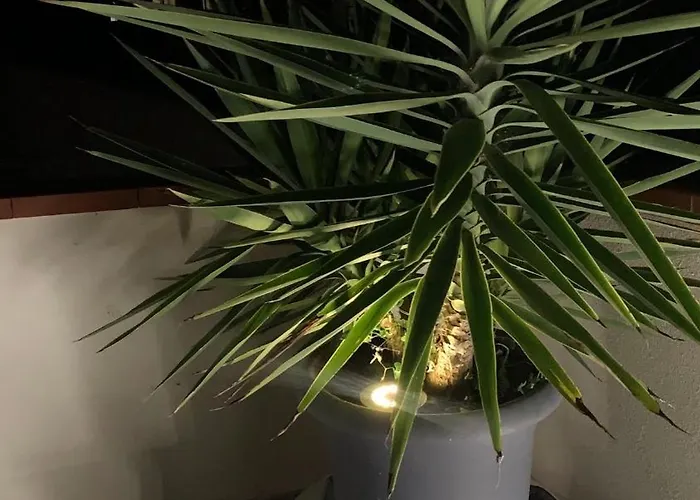 Casa Gaia, Hébergement de vacances Piombino